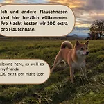 Urlaubsmagie - Buntspecht - Direkt Am Wanderweg *