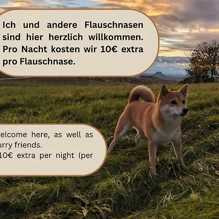Urlaubsmagie - Buntspecht - Direkt Am Wanderweg - B3 *