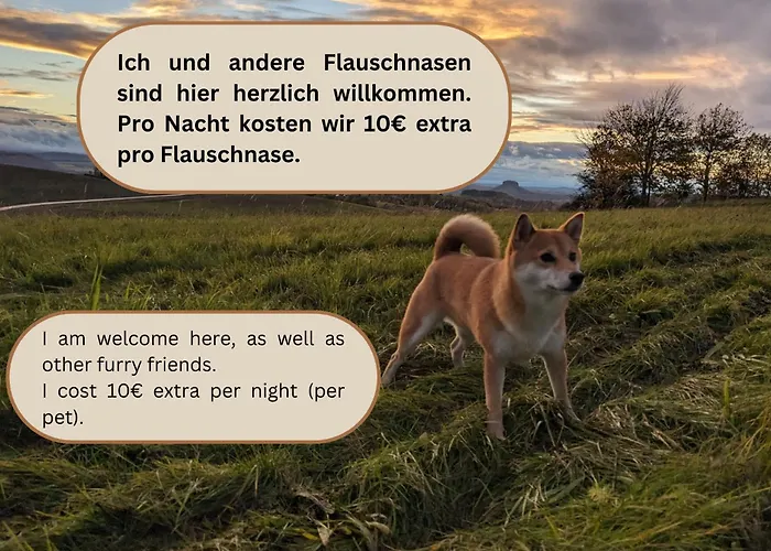 B3 - Urlaubsmagie Kleine Fuer 4p Direkt Am Wanderweg Mit Eigener Terrasse *